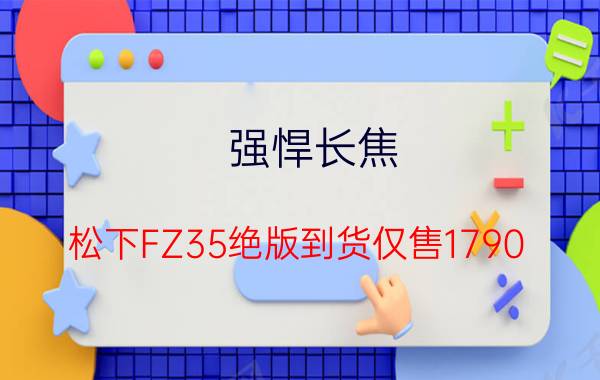 强悍长焦 松下FZ35绝版到货仅售1790